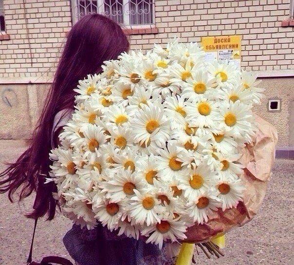 ...����� ������� - 5