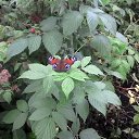 ��� ����� ��������� ������� � ������ �������..)