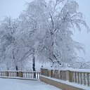 ���� ����������, ����, 75 ��� - ��������� 28 ���� 2016 � ������ ������������ �������������