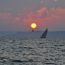 ���� Yuri, �������, 54 ���� - ��������� 5 ������� 2016 � ������ ��04-05.08.2016.�.�