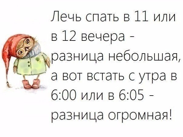    |   - 2  2016  03:06