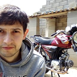 , 29, 