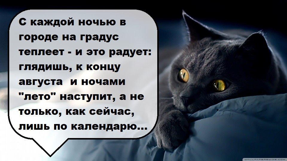 ��� ���� - 9 ���� 2016 � 08:12