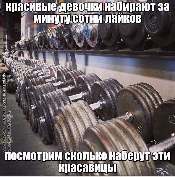  -   - 6  2016  04:01