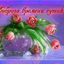 ���� �����, ������ - ��������� 12 ��� 2016 � ������ �������� ��������