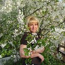 ���� ��������, �����, 44 ���� - ��������� 30 ��� 2016 � ������ ���� ����������