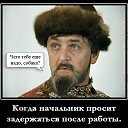 ���� �������, ���������, 46 ��� - ��������� 2 ��� 2016 � ������ ������ ��������