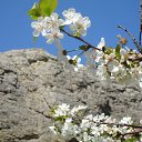 ���� Serg, �����������, 59 ��� - ��������� 2 ��� 2016 � ������ ���� ����������