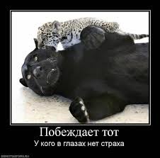 ***Victoria Viktorovna*** - 20  2016  12:21