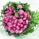 ���� *Ni��*, ������ - ��������� 6 ��� 2016 � ������ ���� ����������