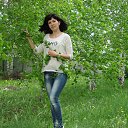 ���� ���������, ����������, 40 ��� - ��������� 11 ��� 2016 � ������ ���� ����������