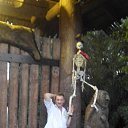  , -, 61  -  15  2016