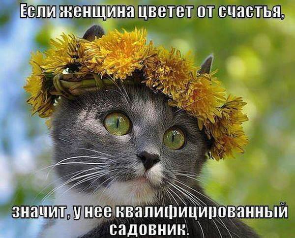 ��� ���� - 16 ������ 2016 � 08:26