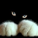 ���� Aliksaydr, ������, 49 ��� - ��������� 16 ������ 2016 � ������ ���� ����������