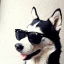 ���� �������� �����:d, ���������, 22 ���� - ��������� 20 ���� 2016 � ������ ���� ����������