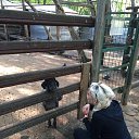 ���� &&���, ������, 41 ��� - ��������� 12 ������� 2016 � ������ ���� ����������