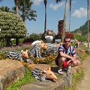 ���� �������, �����������-��-�����, 39 ��� - ��������� 31 ������� 2016