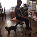  ,  -  12  2016   - 2016