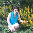 ���� �����, ������, 55 ��� - ��������� 14 ������� 2016 � ������ ���� ����