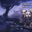 ���� ������, �����-���������, 53 ���� - ��������� 24 ���� 2016 � ������ ������