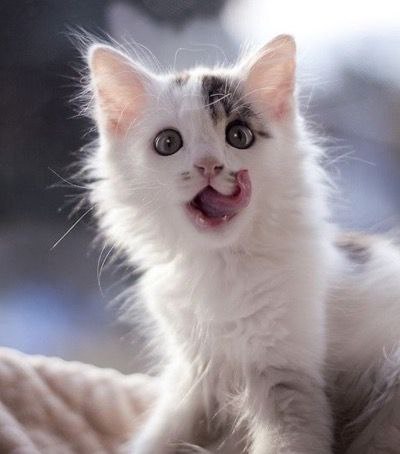 ��� ����������-�� ���� :-)