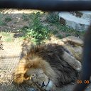 ���� �����, �����������, 51 ��� - ��������� 20 ���� 2016 � ������ ���� ����������