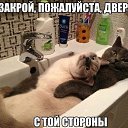 ���� ������, ����� - ��������� 5 ������ 2016 � ������ ������ ��������