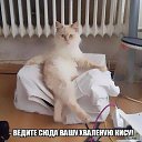 ���� �����, ������, 64 ���� - ��������� 30 ������� 2016 � ������ ���� ����������