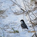 ���� ������, �����������, 43 ���� - ��������� 24 ����� 2016 � ������ ���� ����������