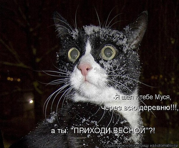  - 2  2016  02:25