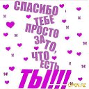 ���� ���, �������� - ��������� 8 ������� 2016 � ������ ���� ����������