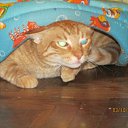 ���� �������, �����-���������, 55 ��� - ��������� 3 ������� 2016 � ������ ��������