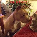 ���� Alekcandr, ������ - ��������� 20 ��� 2016 � ������ ���� ����������