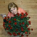 ���� �����, ����������� - ��������� 12 ��� 2016 � ������ ���� ����������