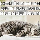 ���� Elena, ������, 52 ���� - ��������� 6 ��� 2016 � ������ ���� ����������