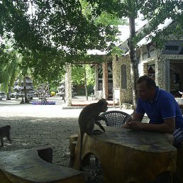 ����, �����, 48 ���