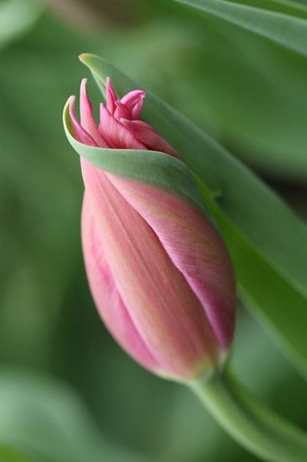   - 2  2016  16:16 - 3