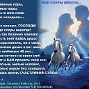 ���� ����������, ��������, 39 ��� - ��������� 29 ������ 2016 � ������ ������ ��������