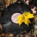 ���� ���, ��������� - ��������� 31 ���� 2016 � ������ ������ ��������