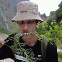 ���� �������, �������, 38 ��� - ��������� 9 ������� 2016 � ������ ���� ����������