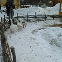 ���� �������, ���������, 53 ���� - ��������� 20 ����� 2016 � ������ �1�