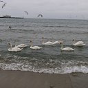 ������ ����-����� ������!!! �� ������� ���� ����������