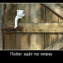 ���� Alekcandr, ������ - ��������� 20 ��� 2016 � ������ ���� ����������