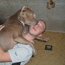 ���� ��������, �����-���������, 51 ��� - ��������� 28 ��� 2016 � ������ ���� ����������