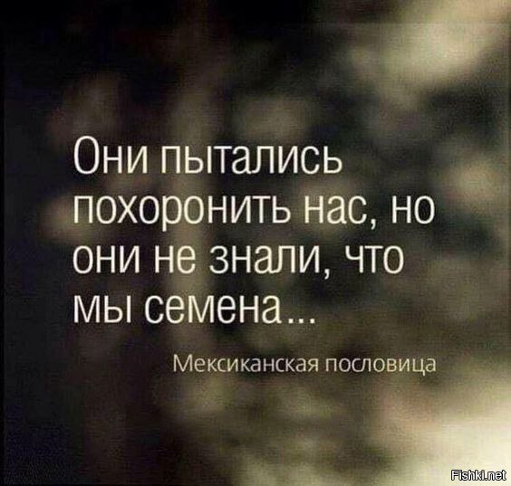   - 5  2016  06:46