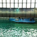 ���� ������, �����, 54 ���� - ��������� 20 ���� 2016 � ������ ���� ����������