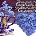 ���� �������, ������� ����, 66 ��� - ��������� 11 ����� 2016 � ������ ������ ��������