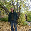 ���� ������, ������, 49 ��� - ��������� 27 ��� 2016 � ������ ���� ����������