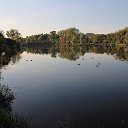 ���� ��������, �����, 77 ��� - ��������� 10 �������� 2016 � ������ ����� � �������� ��������� � ������ ����ͻ