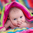 ���� ����, ���������, 41 ��� - ��������� 7 ��� 2016 � ������ ���� ����������